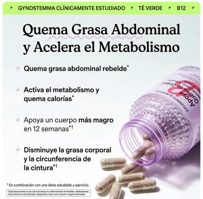 LemmeBurn ! Acelera metabolismo y reduce grasa abdominal